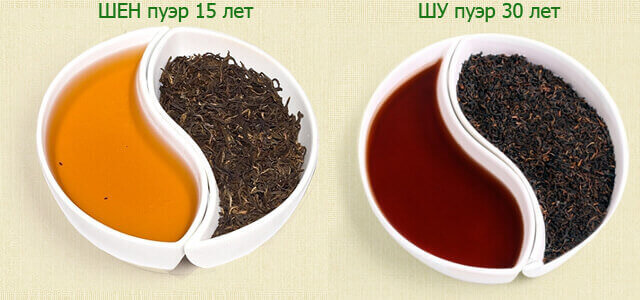 Два вида чая шен пуэр