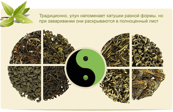 Разновидности чая улун