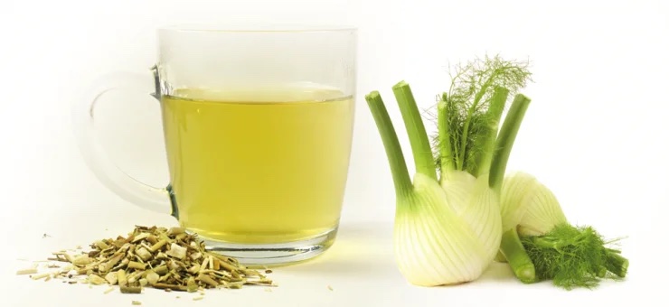 Чай из фенхеля — натуральное лекарство с множеством преимуществ